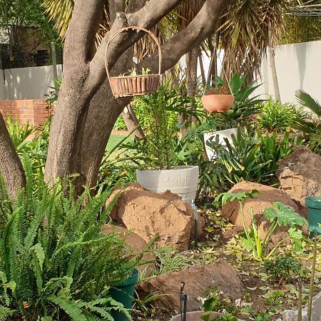 Elephant Bush Guest Cottage Alberton Kültér fotó