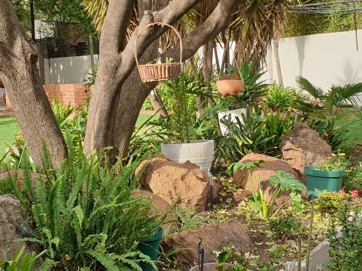Elephant Bush Guest Cottage Alberton Kültér fotó