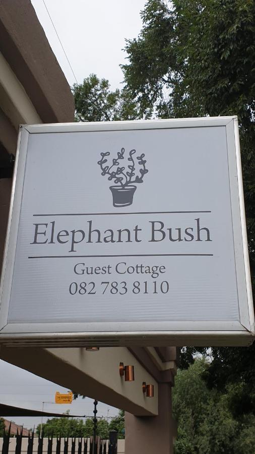 Elephant Bush Guest Cottage Alberton Kültér fotó